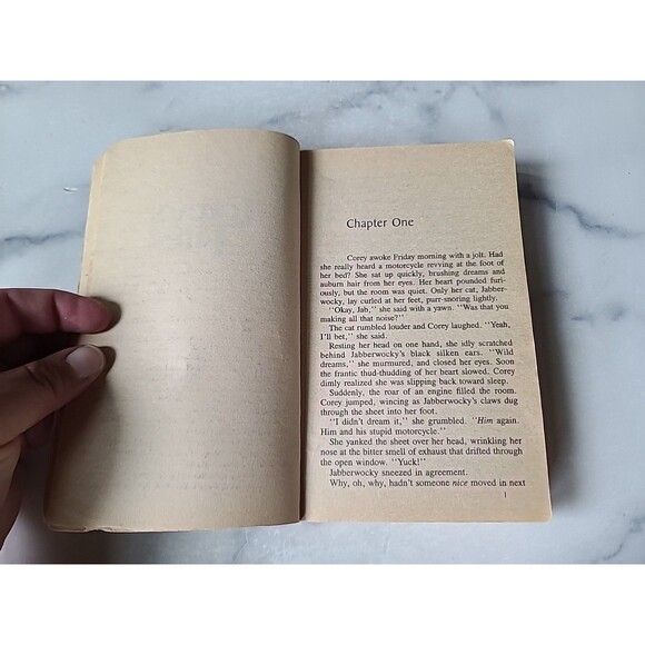 Corey's Fire By Lee Wardlaw Paperback - Picture 6 of 10